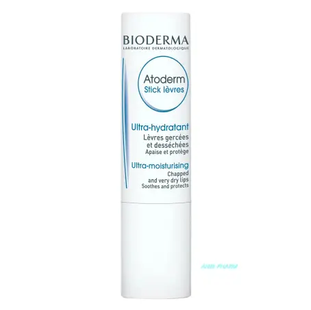 BIODERMA АТОДЕРМ СТИК ДЛЯ ГУБ 4 г