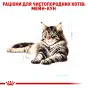 КОРМ Д/КОТОВ FBN MAINECOON ADULT 85 г